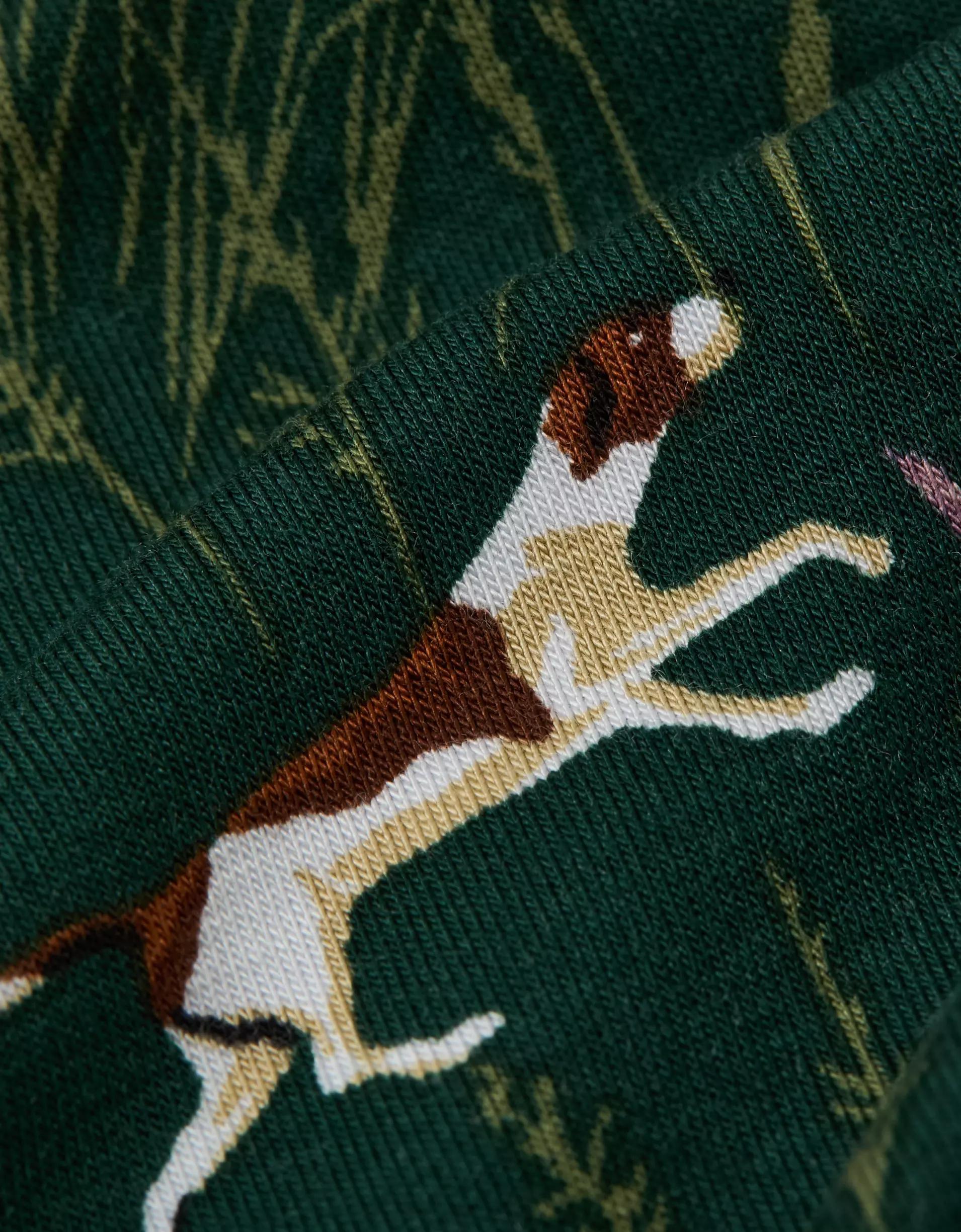 AEO Men's Fox Hounds 4.5" Ultra Soft Boxer Brief Product Image