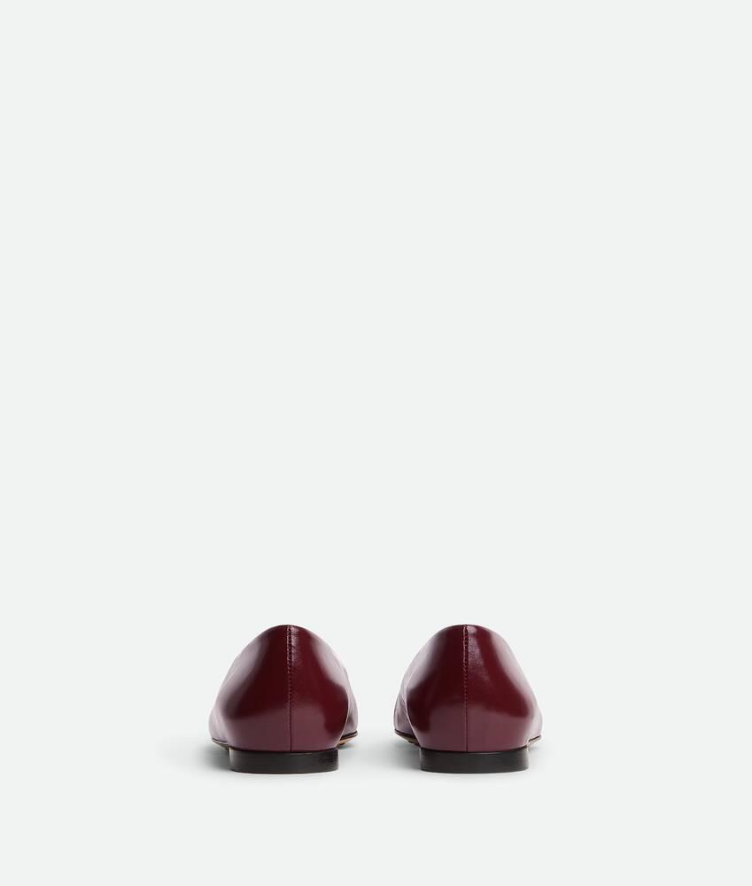Women's Sofia Ballerina in Barolo Product Image