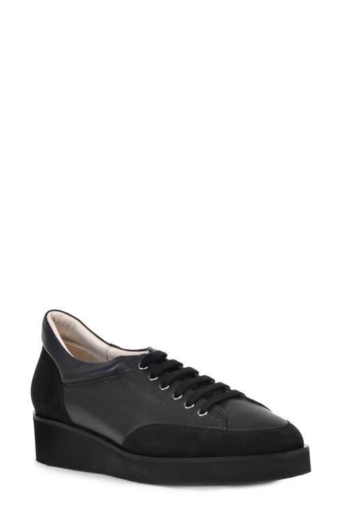 Tods Womens City Gommino Drivers Product Image