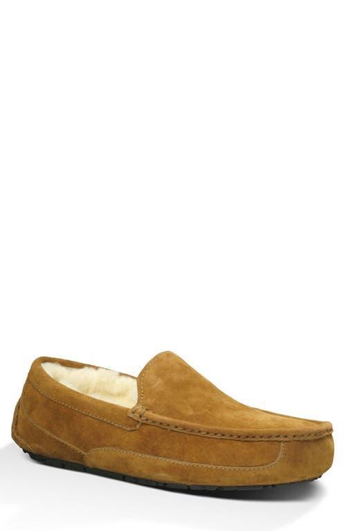 UGG Mens Ascot Suede Moc Product Image