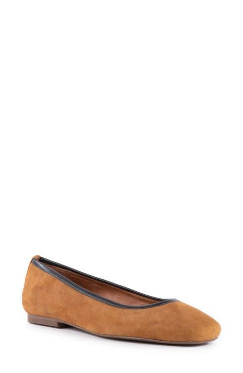 Seychelles City Streets (Cognac Suede) Women's Shoes Product Image