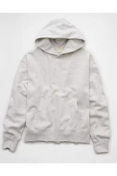 AE Laidback Luxe Heavyweight Logo Hoodie Men's Product Image