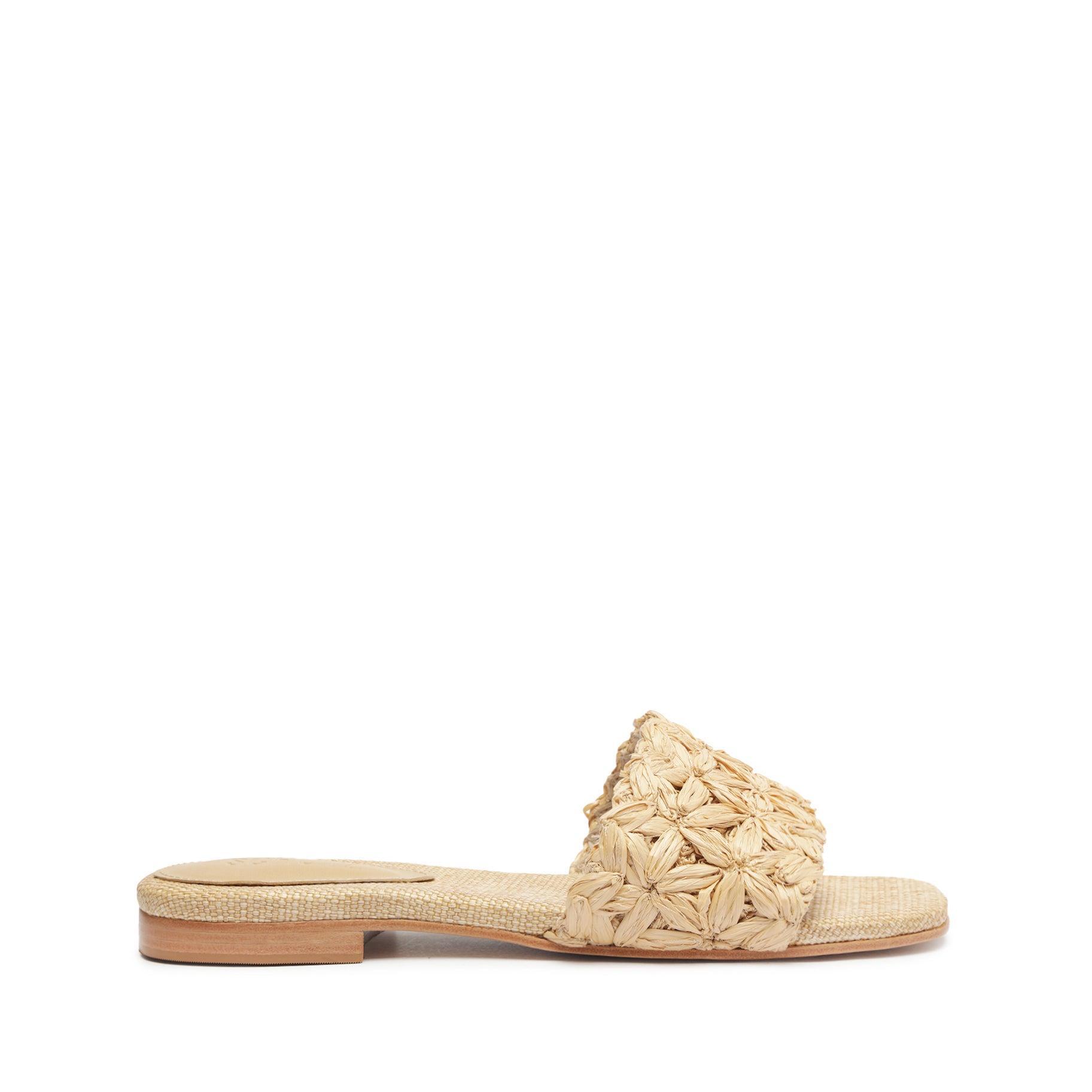 Ayla Flat Sandal Product Image