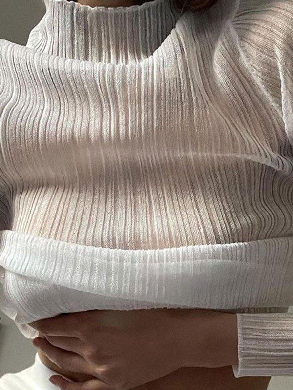 High Neck Semi Sheer Knit Top Product Image