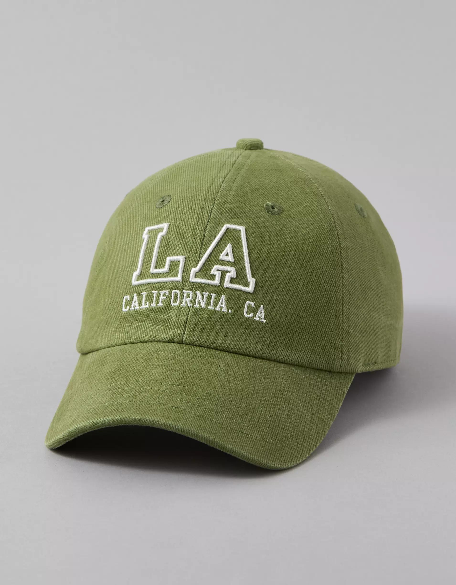 AE Destination Baseball Hat Product Image