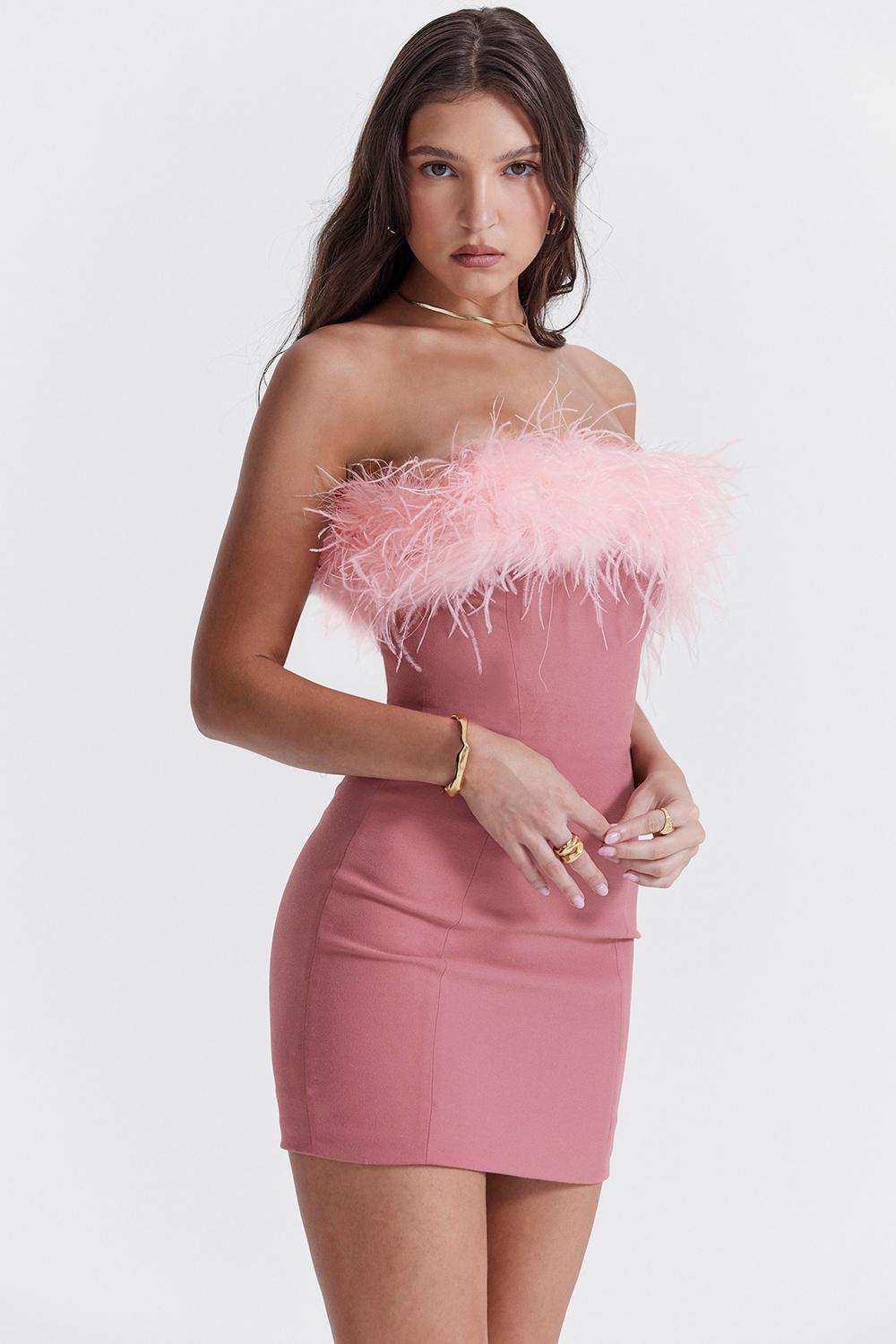 Alexa  warm pink mini dress Product Image