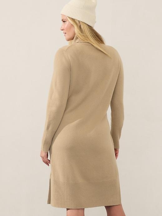 Alpine Turtleneck Sweater Dress Product Image