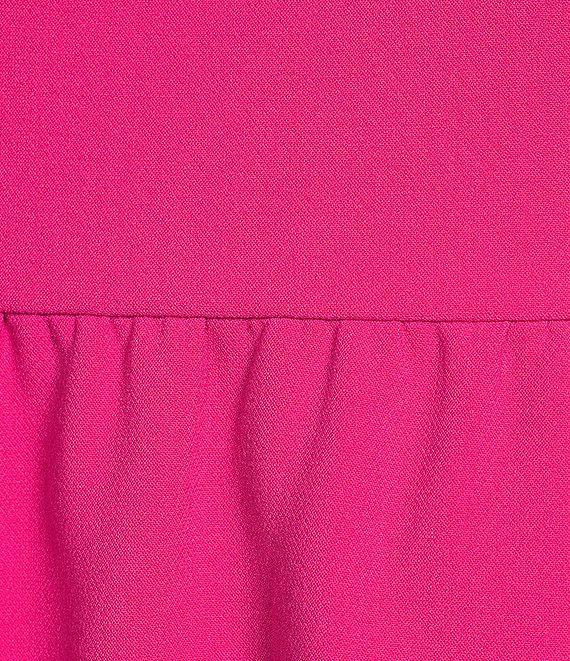 French Connection Boat Neck Sleeveless Whisper Mini Dress Product Image