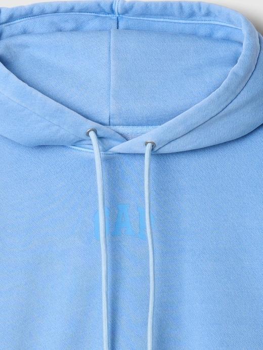 VintageSoft Arch Logo Cropped Hoodie Product Image