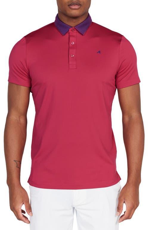 Mens Darby Polo Product Image