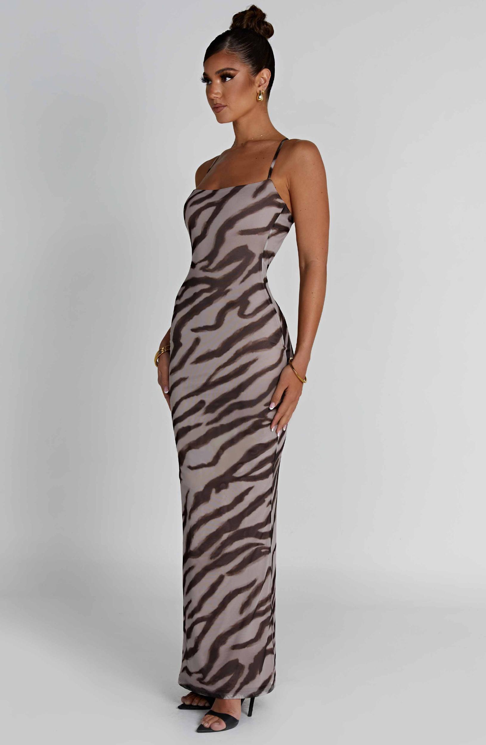 Nessa Maxi Dress - Zebra Print Product Image