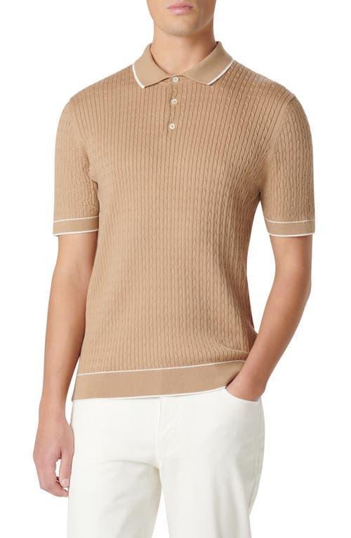 Men's Cable-Knit Polo Sweater Product Image