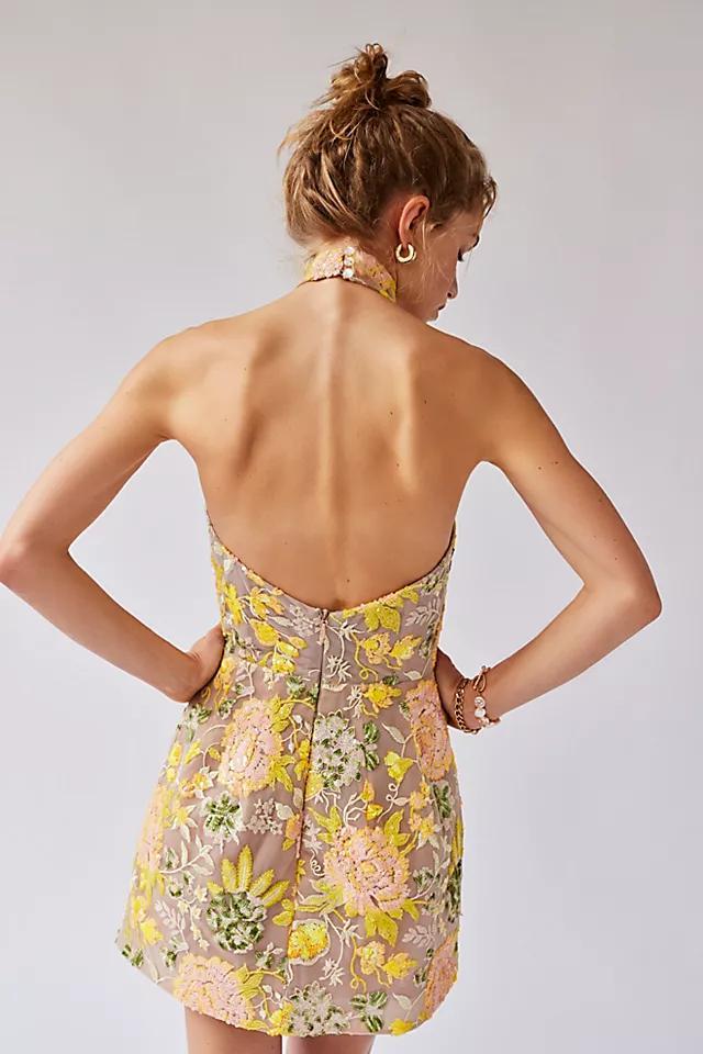 Helsi Sara Mini Dress Product Image