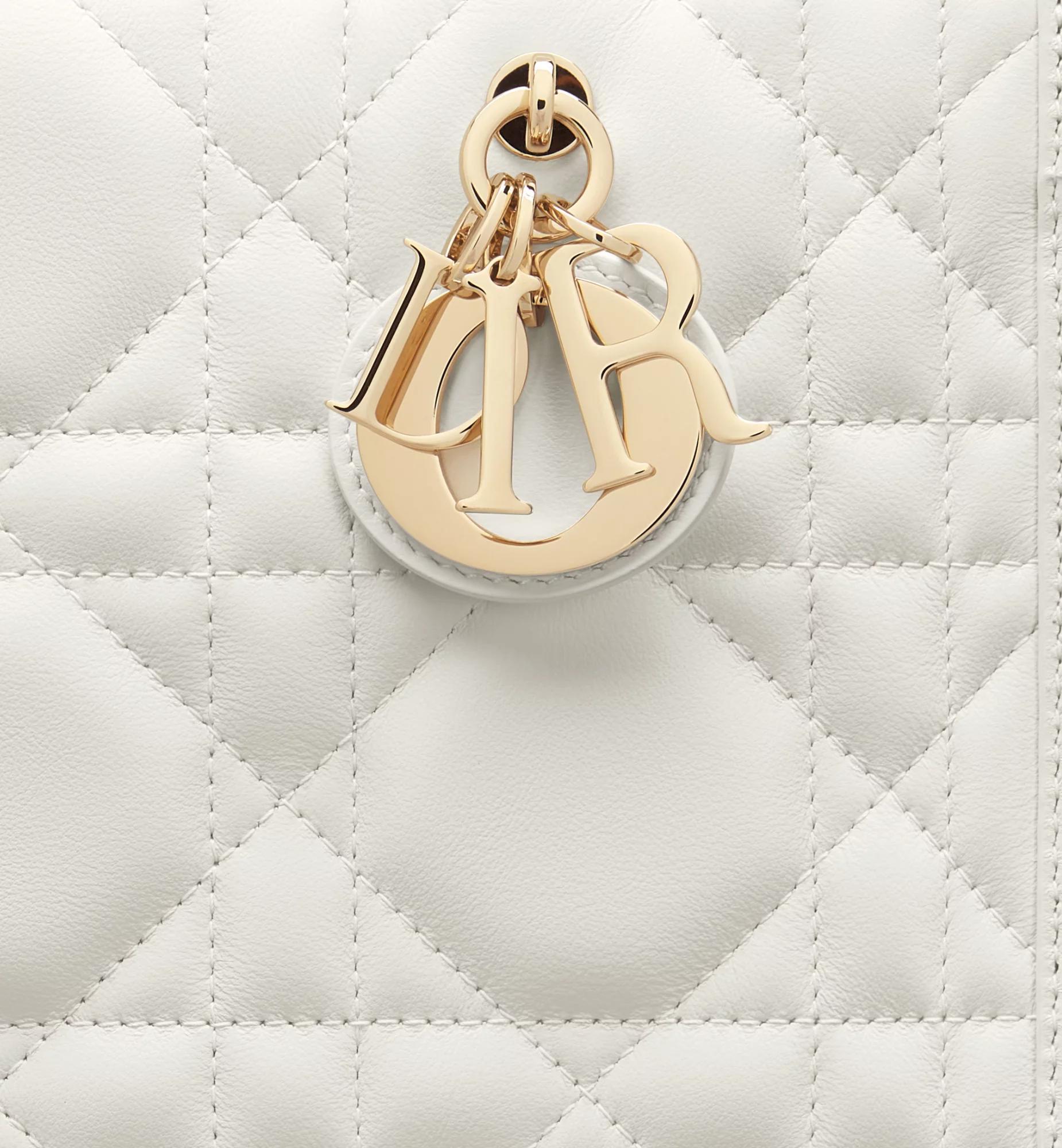 Small Dior Book Tote Product Image