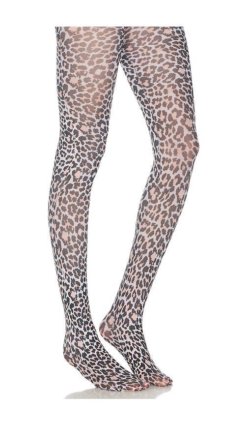 Leopard Tight Product Image