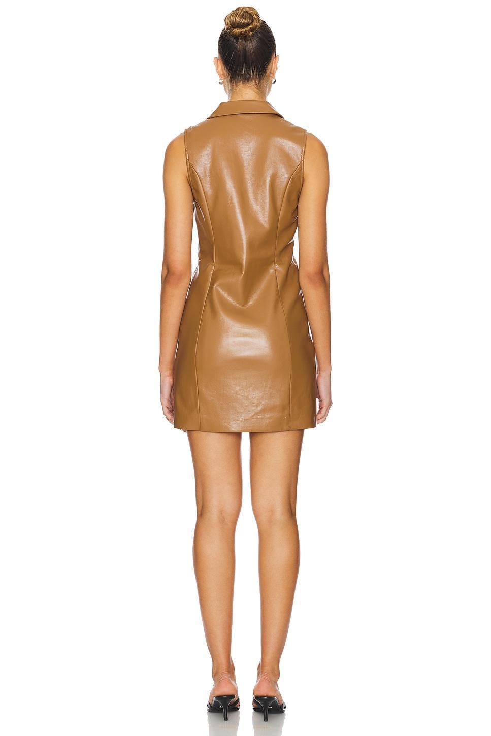 Graciella Dress PAIGE Product Image