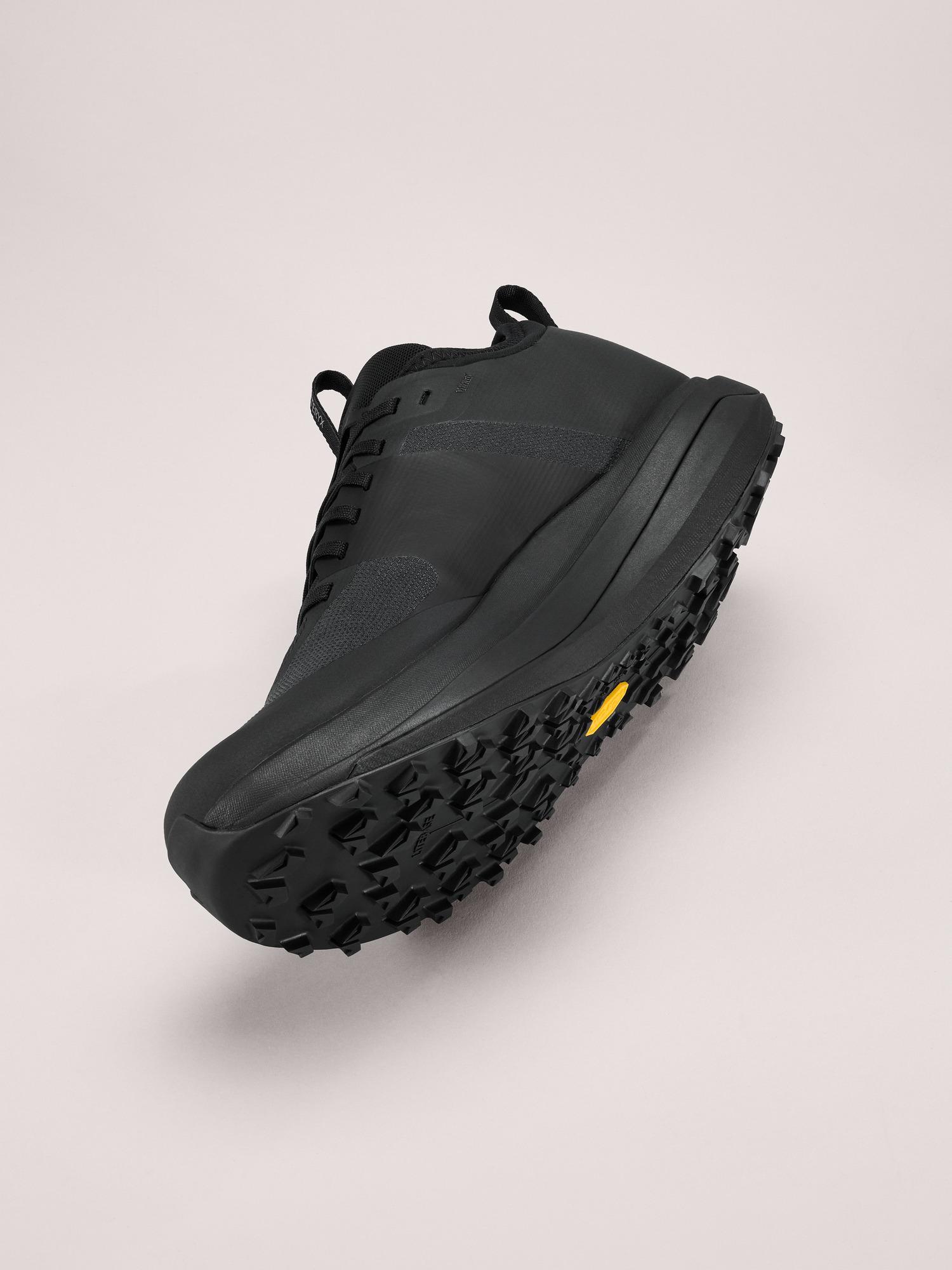 Sylan GTX Shoe Men's Product Image