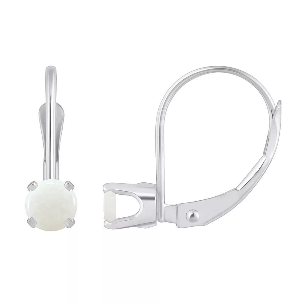 Celebration Gems 14k White Gold Gemstone Drop Earrings, Women's Product Image