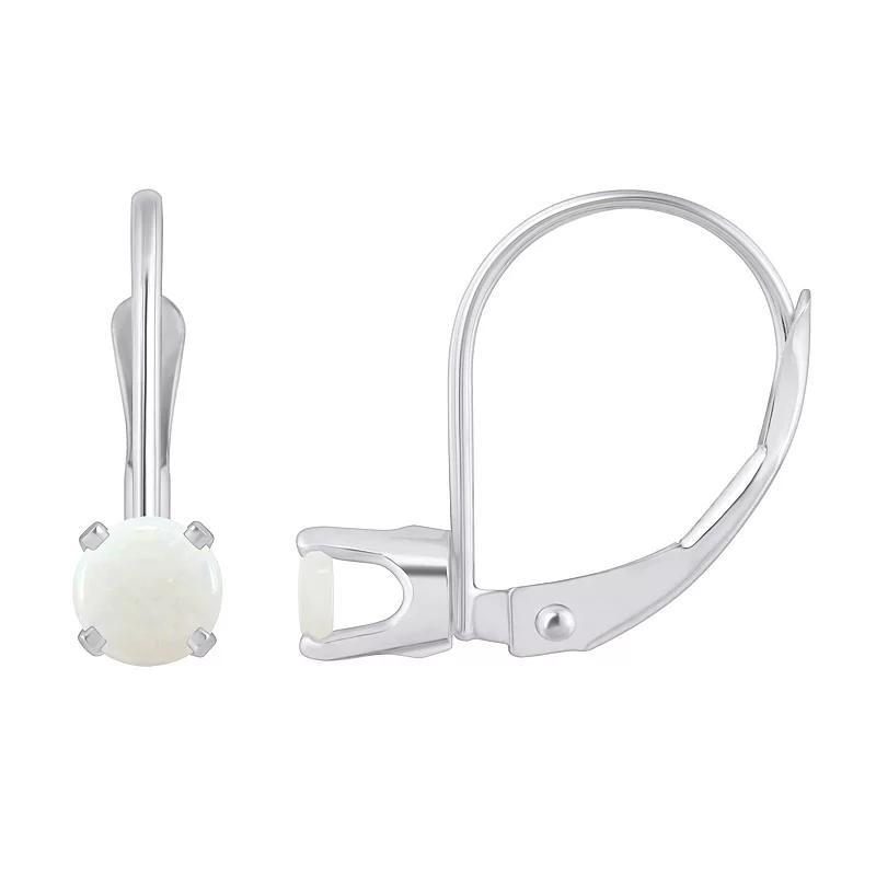 Celebration Gems 14k White Gold Gemstone Drop Earrings, Women's Product Image