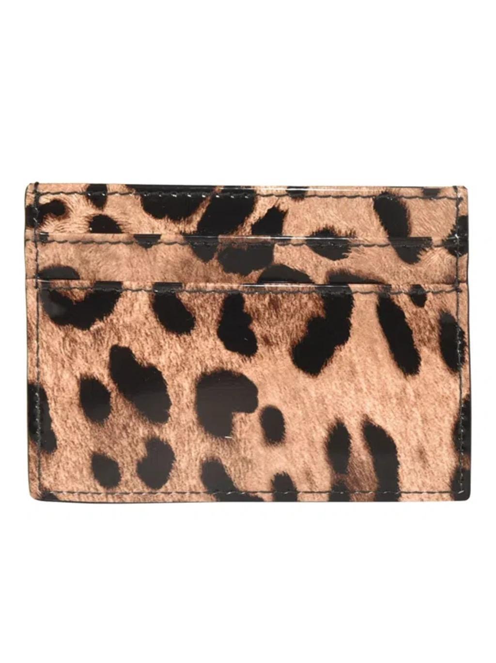 DOLCE & GABBANA Wallets In Multicolor Product Image