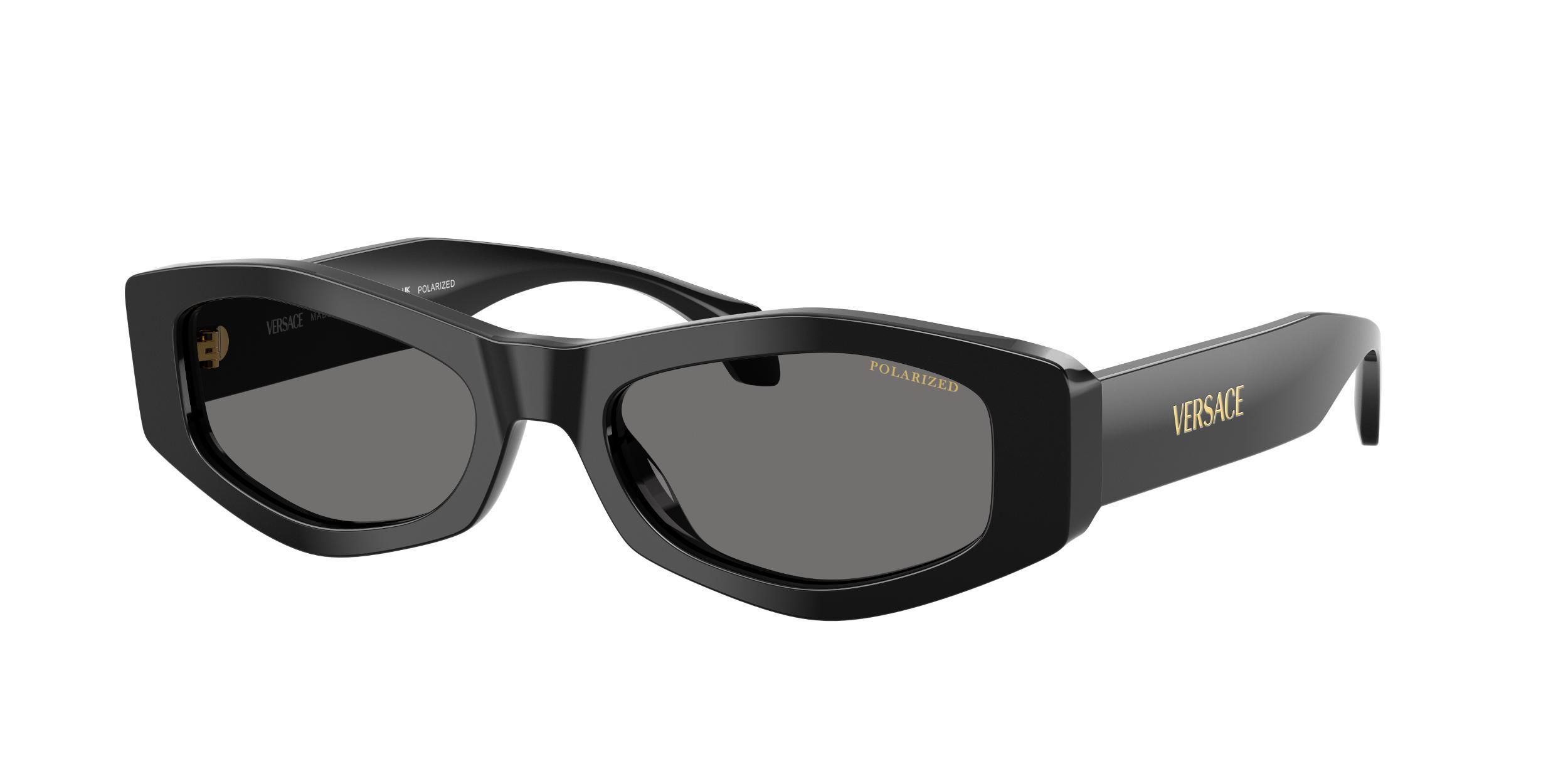 VERSACE Ve4487 Oval Logo-print Sunglasses In Black Product Image