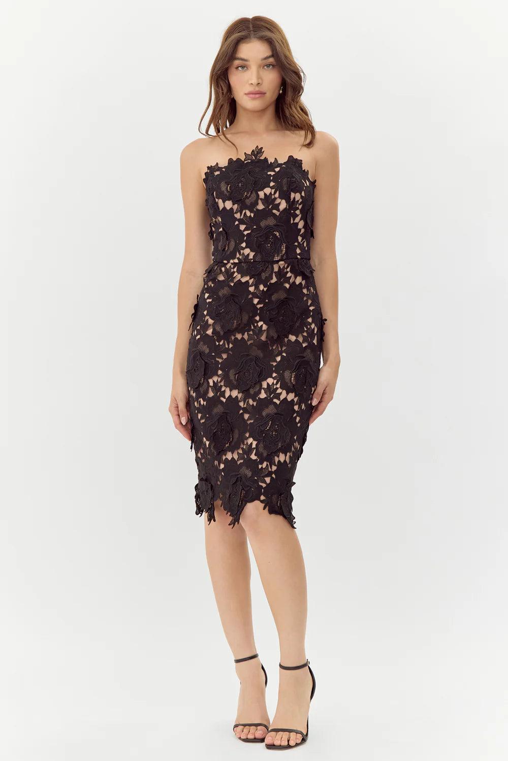 Jade Woven Lace Tube Dress- Black/Nude Product Image