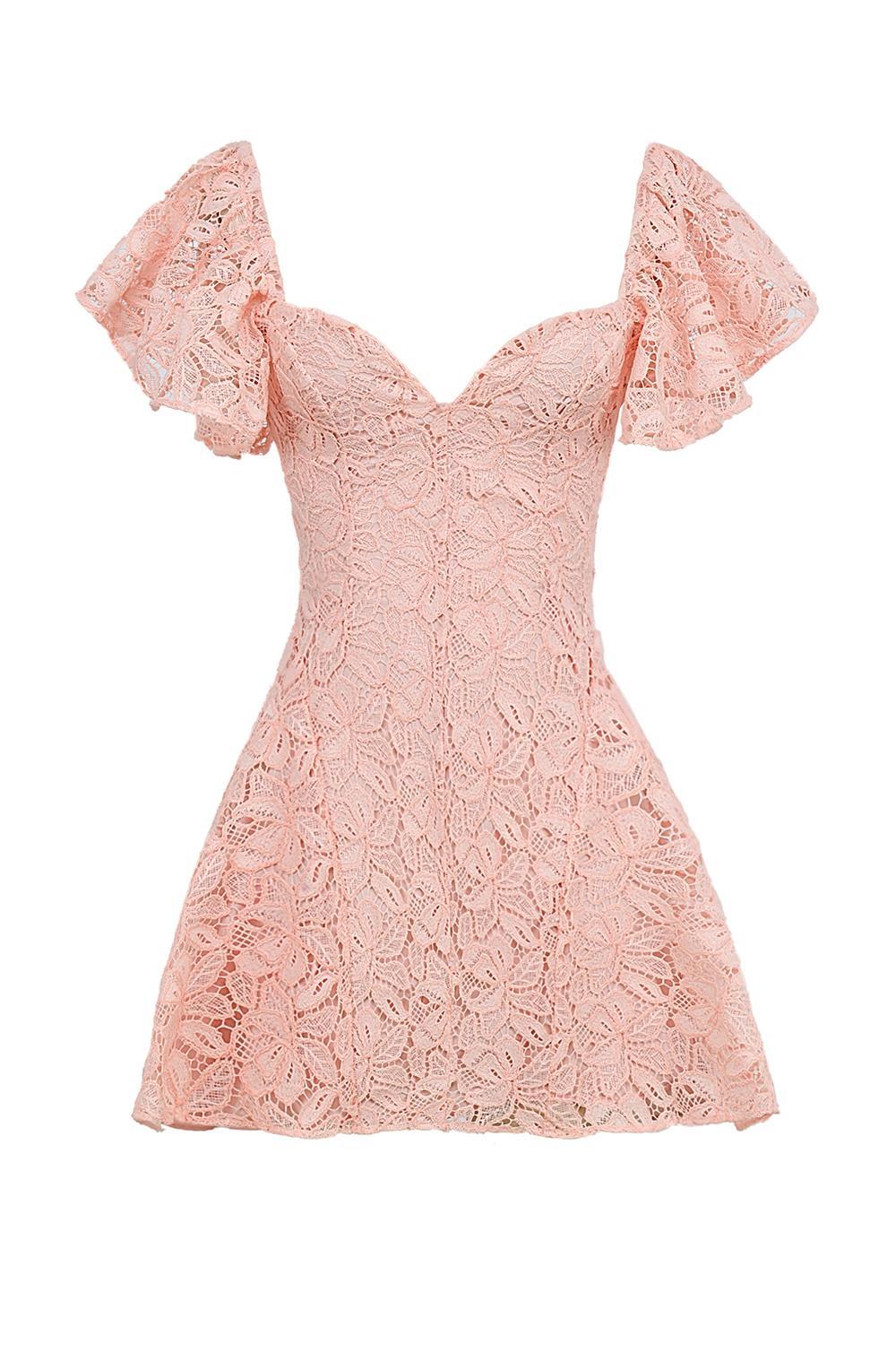 Verity Perfectly Pink Floral Lace Mini Dress Product Image