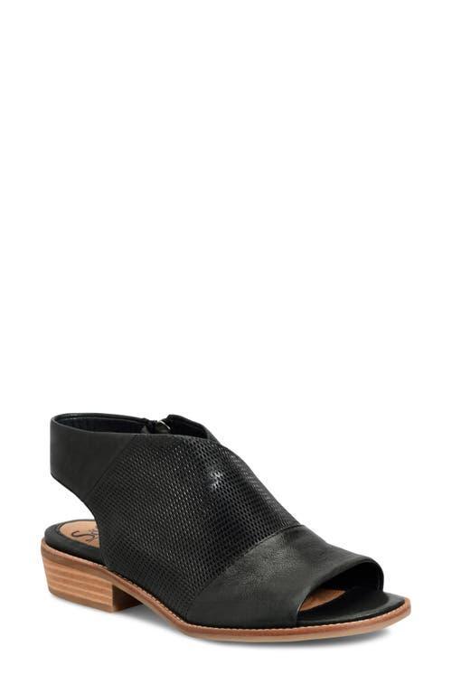 Sofft Natalia Perforated Leather Sandals Product Image