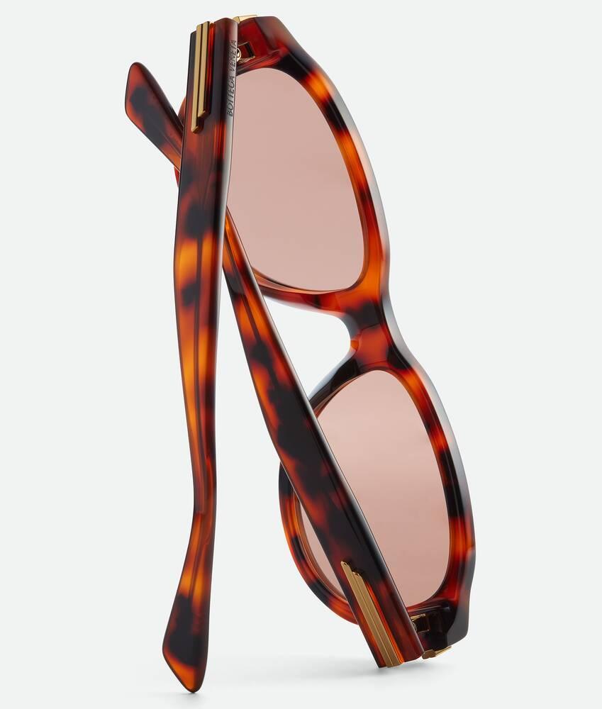 Classic Aviator Sunglasses in Havana/red Product Image