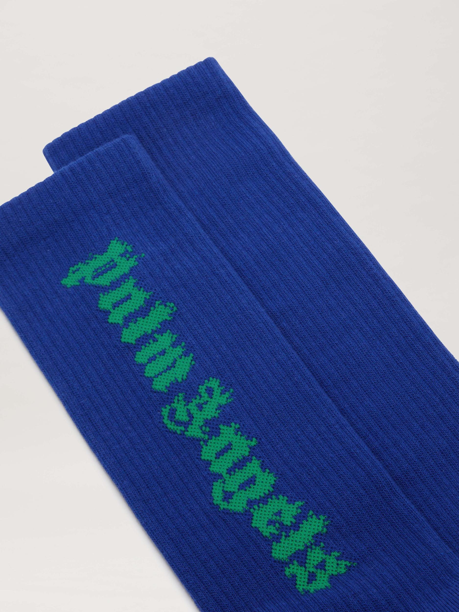 LOGO FLAMES SOCKS Product Image