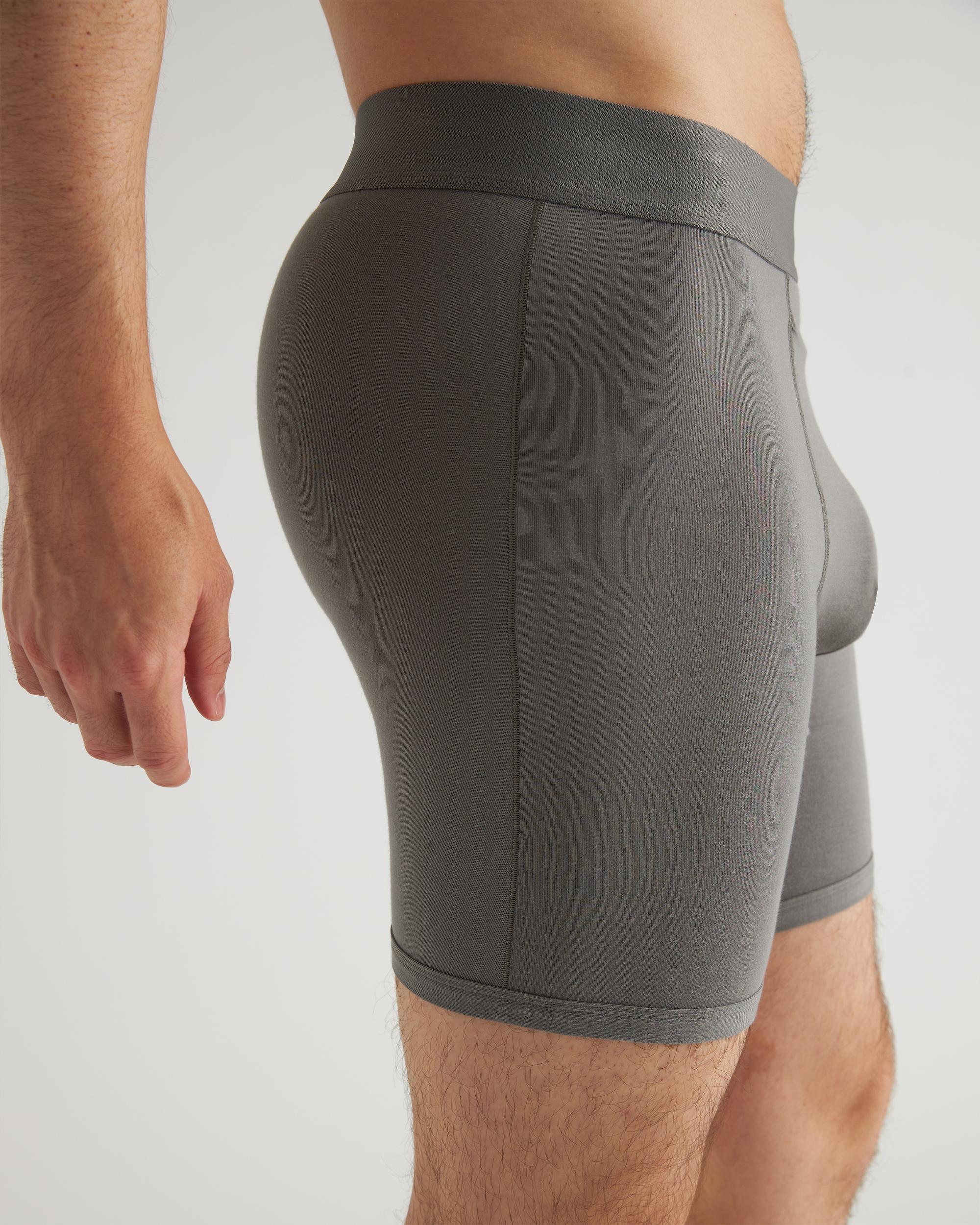 Quince | Men's Micromodal 6" Boxer Brief Product Image