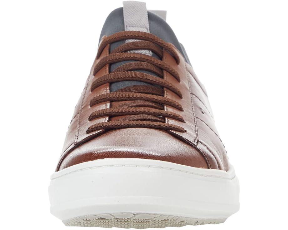David Sneaker Product Image