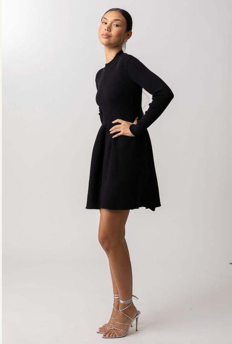 Blake Sweater Dress Product Image