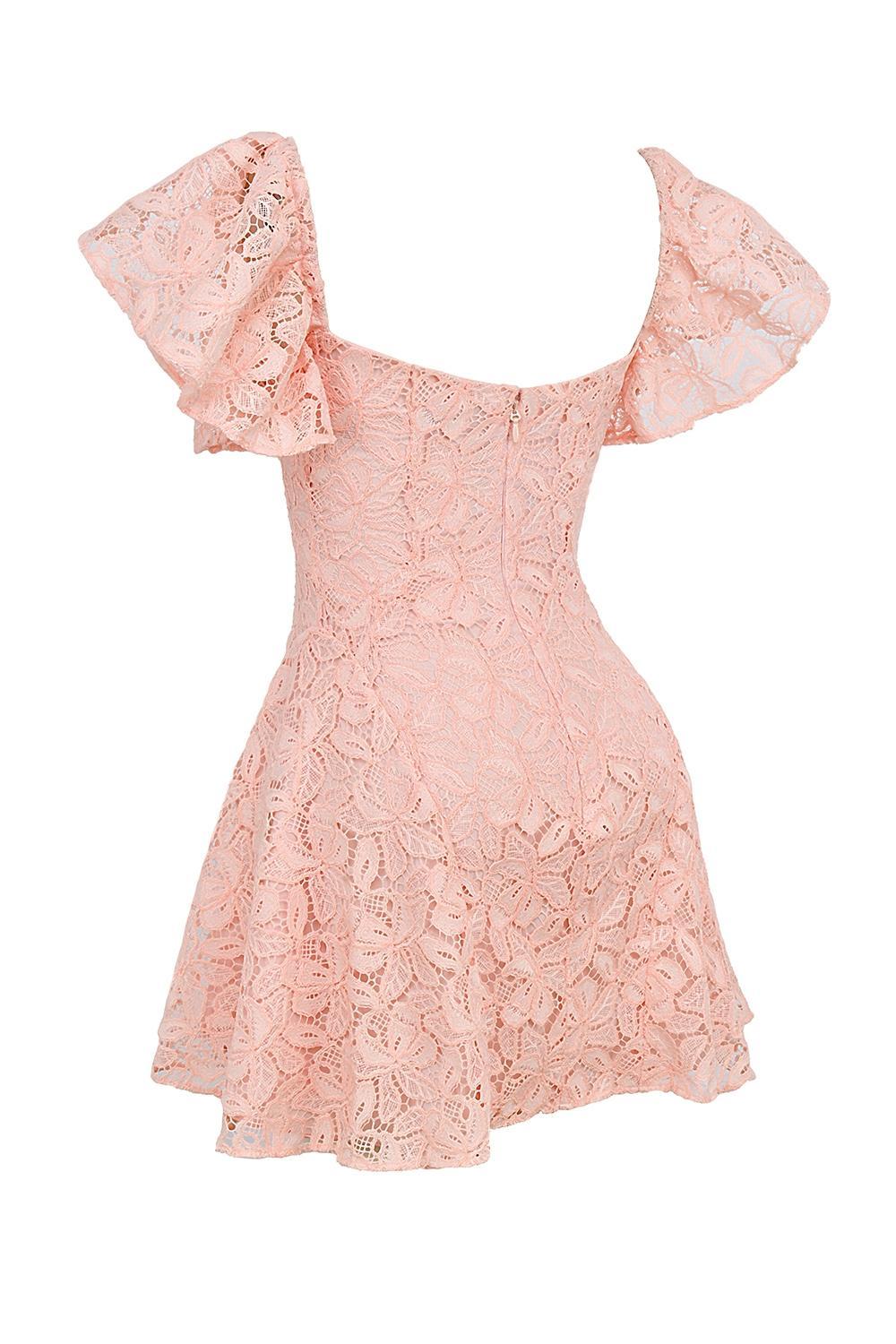 Verity Perfectly Pink Floral Lace Mini Dress Product Image
