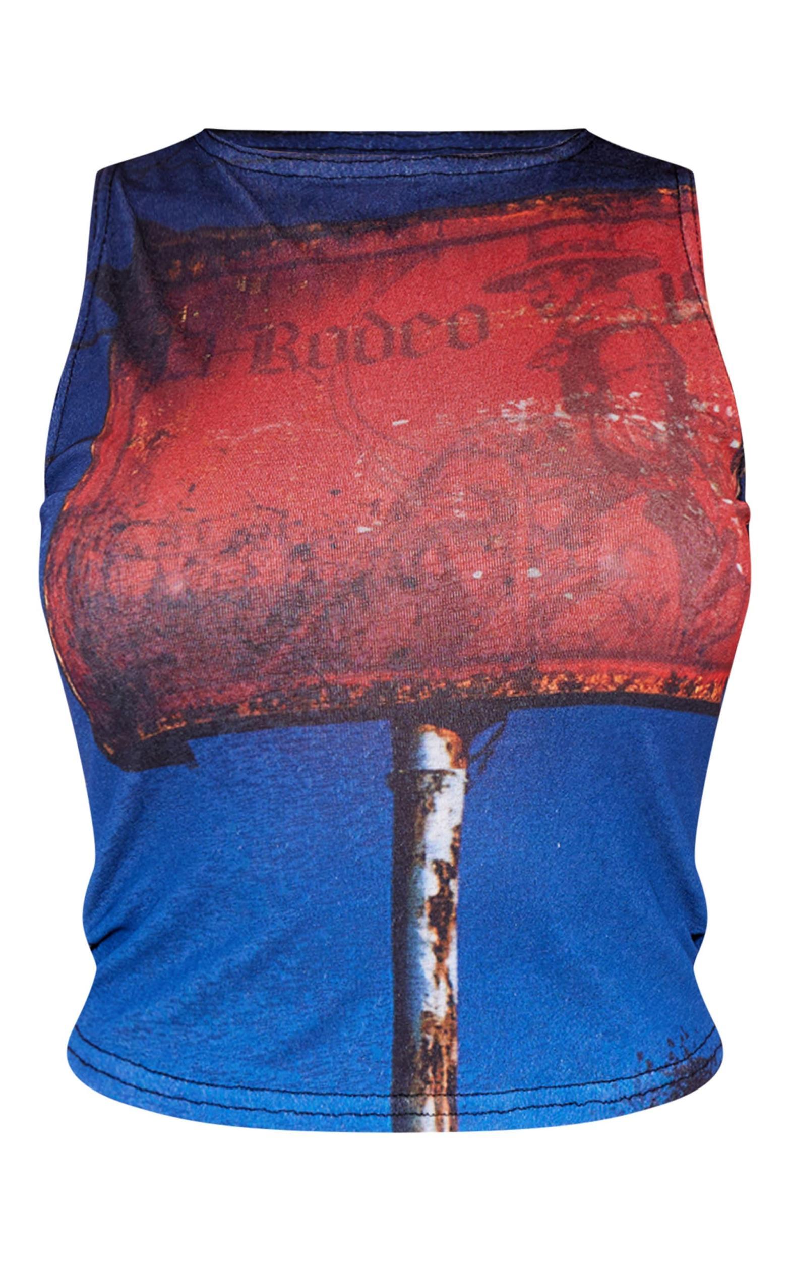 Blue Burnout Mesh Printed Boatneck Top Product Image