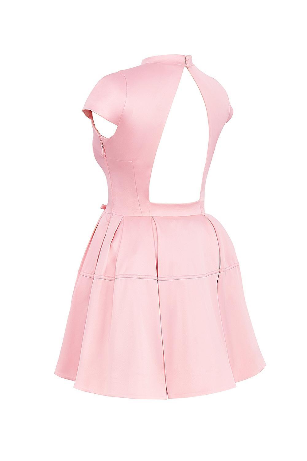 Saida Parisian Pink Backless Mini Dress Product Image