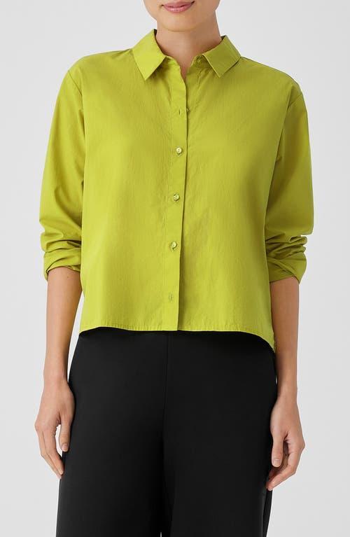 Womens Button-Up Crop Shirt Product Image