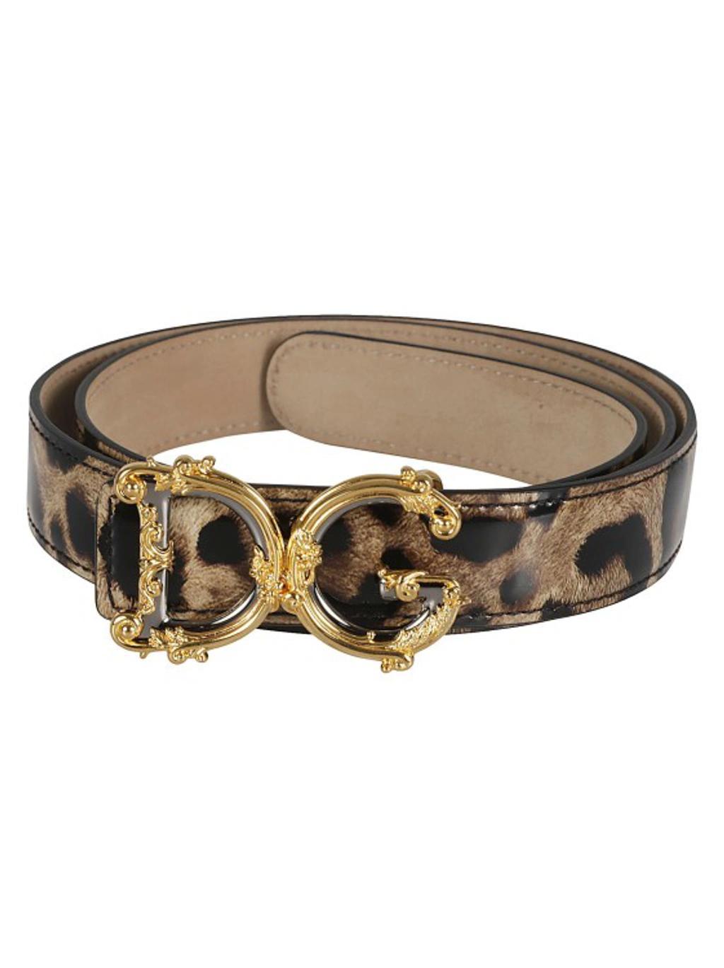 DOLCE & GABBANA Belts In Multicolor Product Image