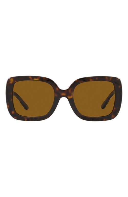 Oversized Acetate Butterfly Sunglasses Product Image