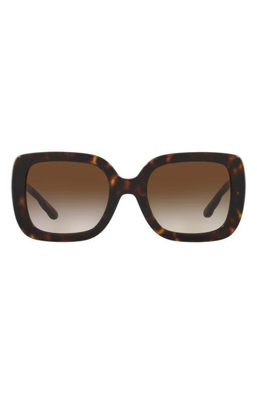 Oversized Acetate Butterfly Sunglasses Product Image
