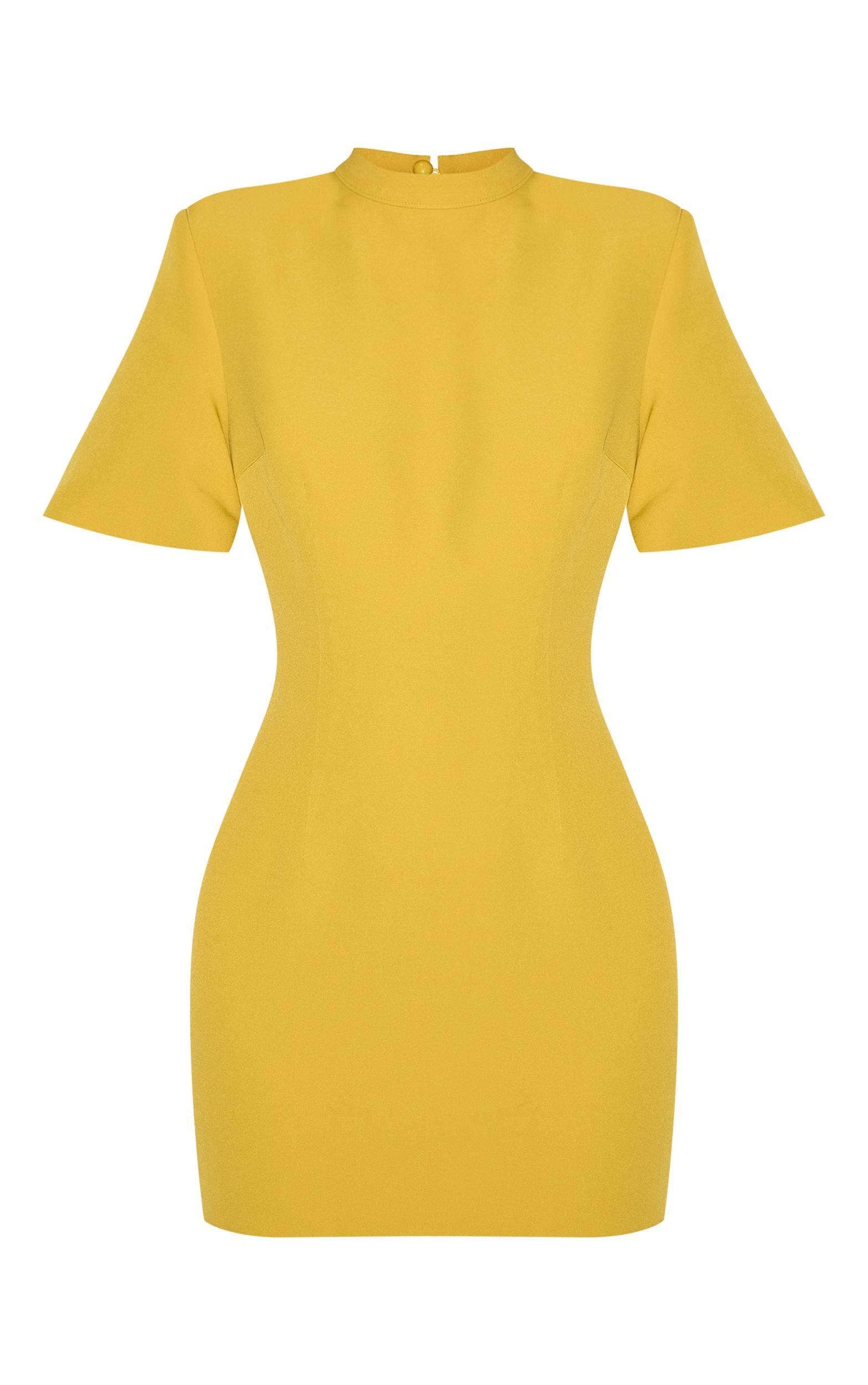 Olive Woven Cinched Backless Mini Dress Product Image