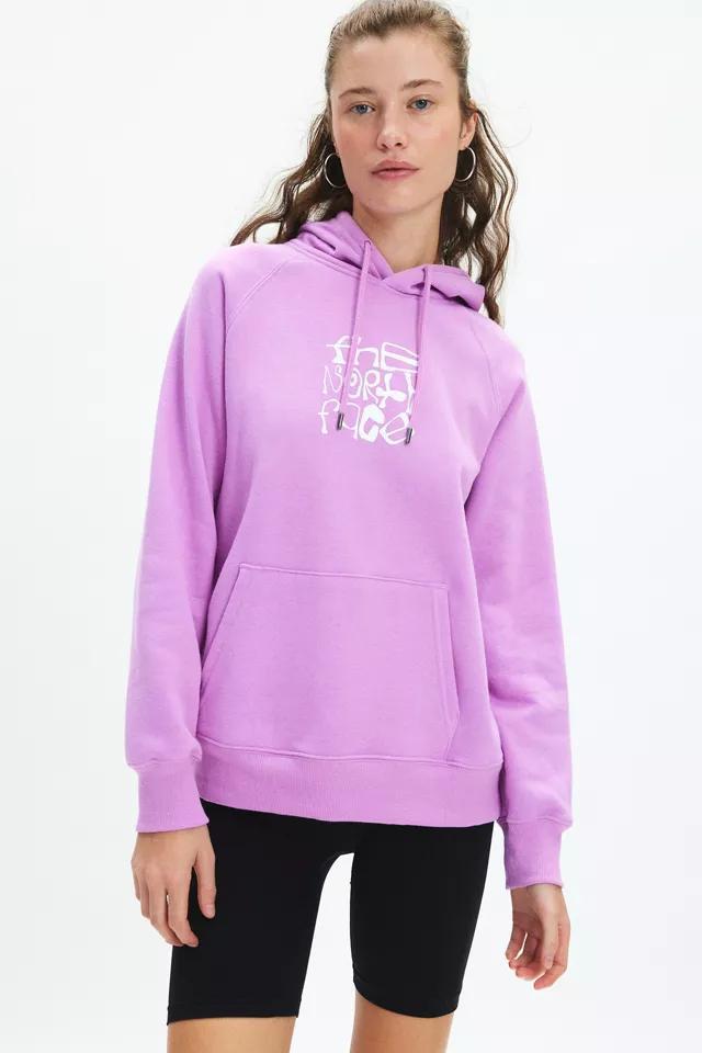 The North Face Snow Graphic Hoodie Sweatshirt Product Image
