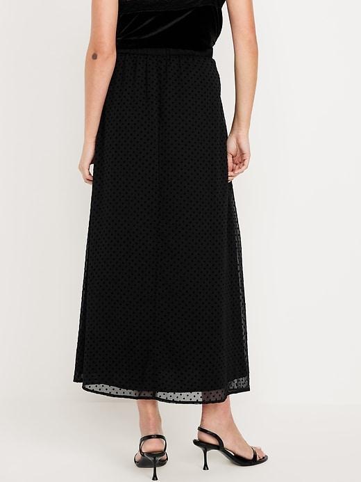 Chiffon Maxi Skirt Product Image