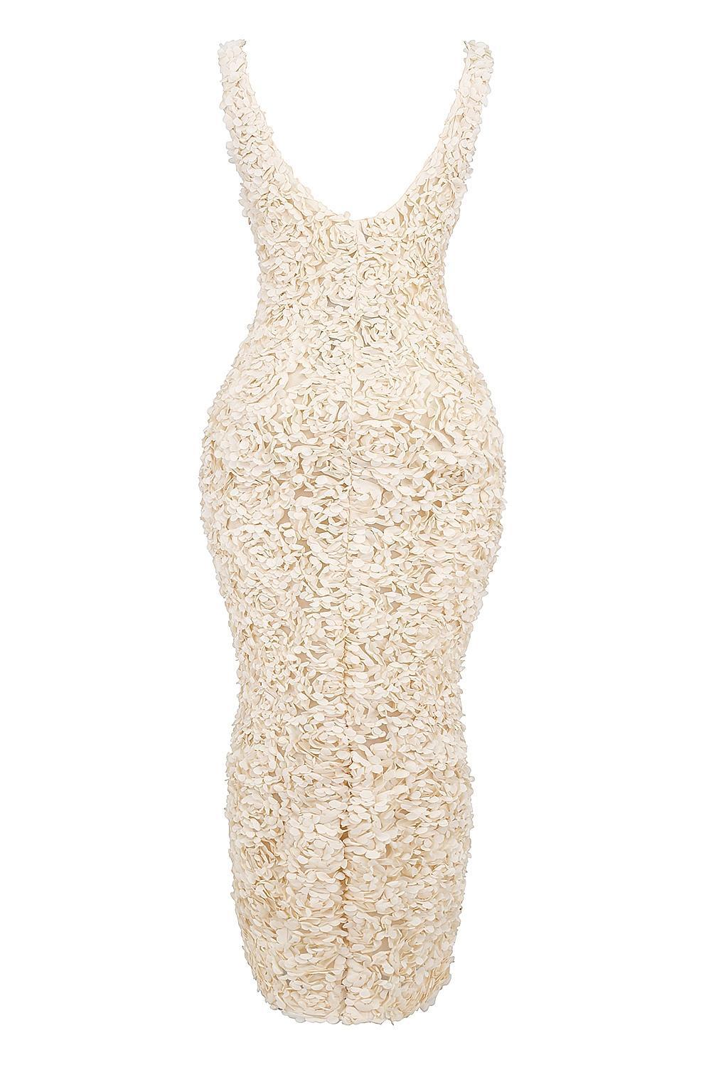 Carena Creme Plunge Floral Appliqué Maxi Dress Product Image