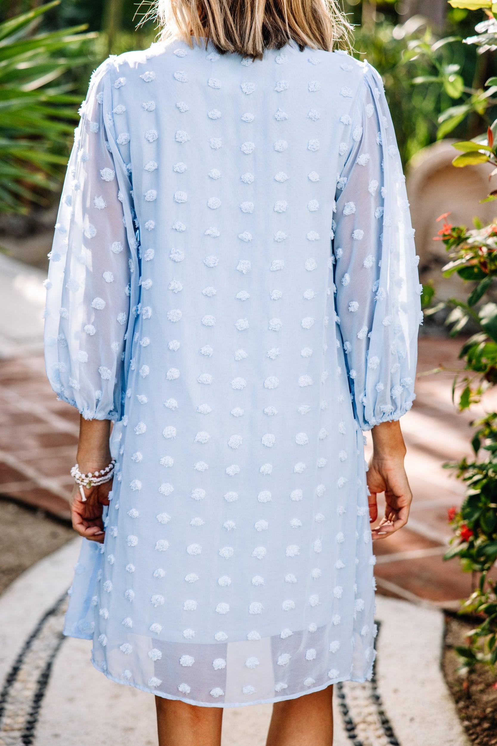 Good To Know Sky Blue Swiss Dot Shift Dress Female Product Image