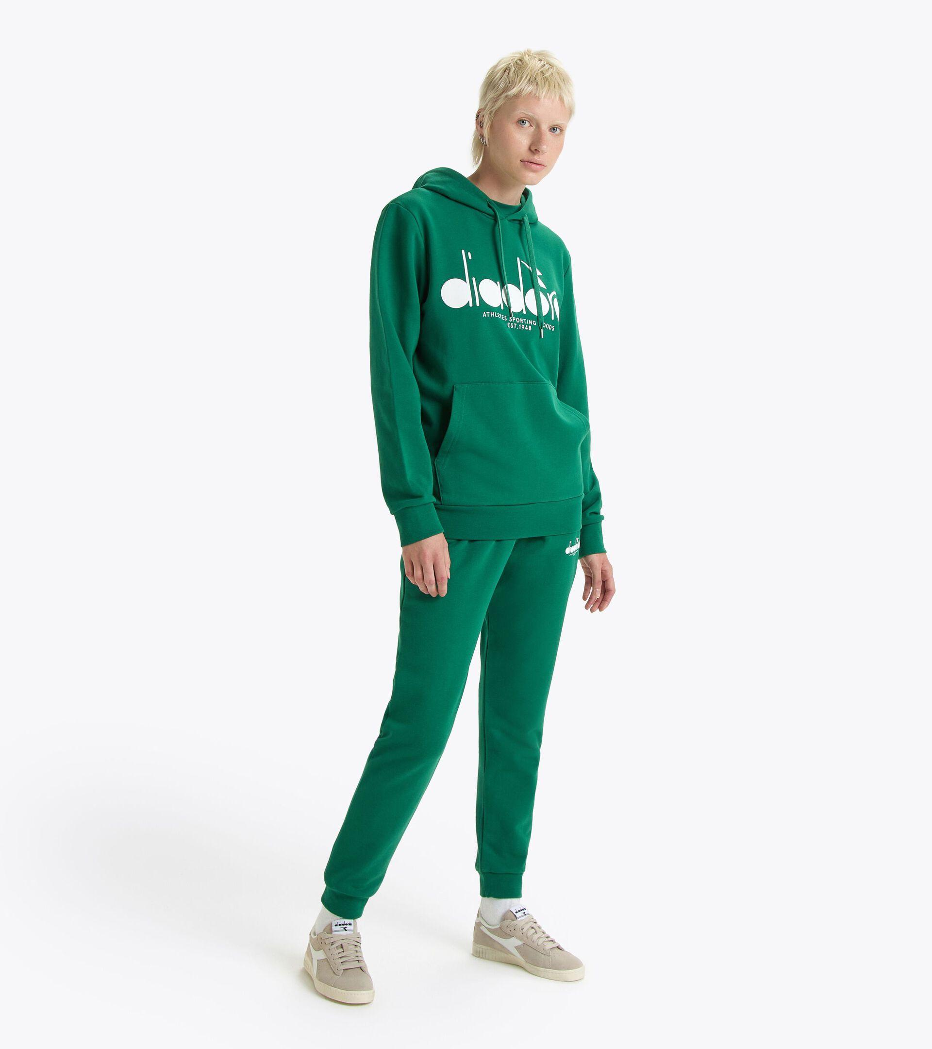 HOODIE LOGO Product Image