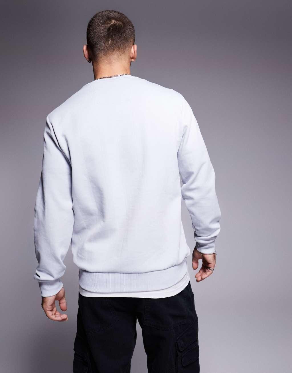 BOSS Green Salbo DropNeedle crew neck sweatshirt regular fit in light gray Product Image