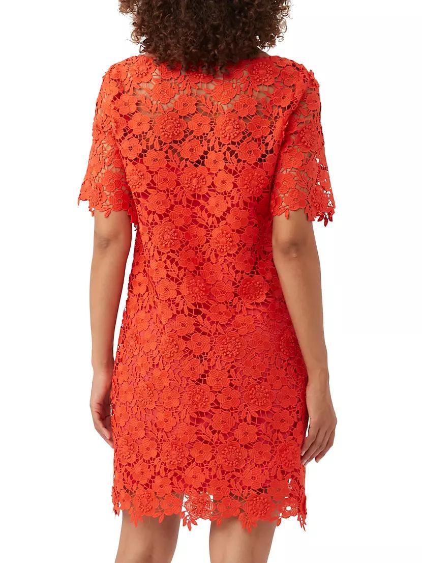 Sun Floral Lace Minidress Product Image