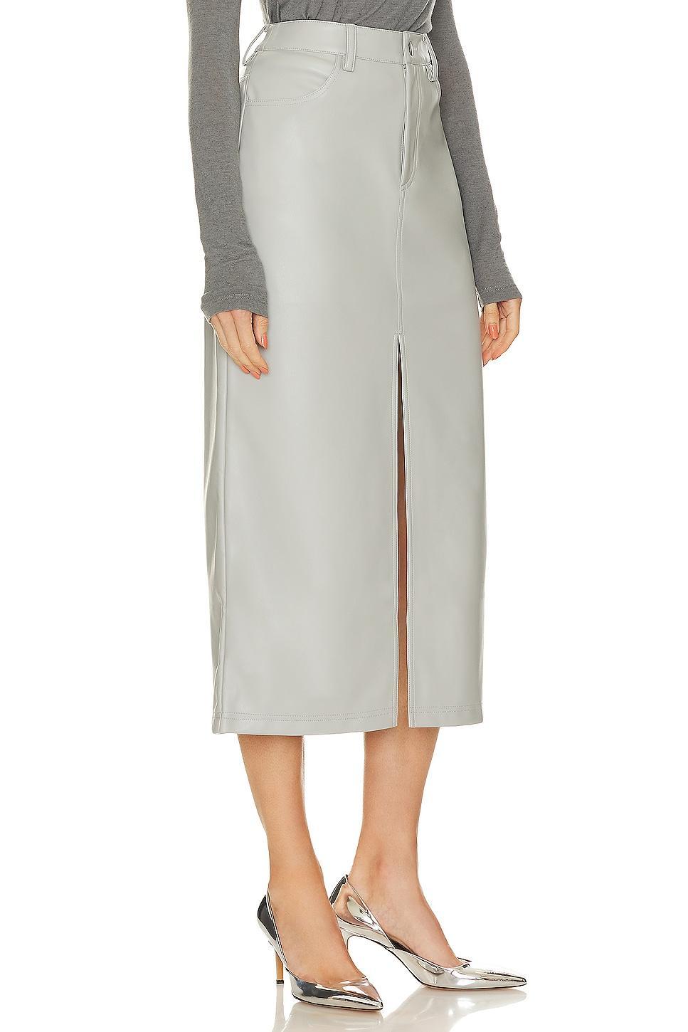 Avani Faux Leather Skirt Product Image