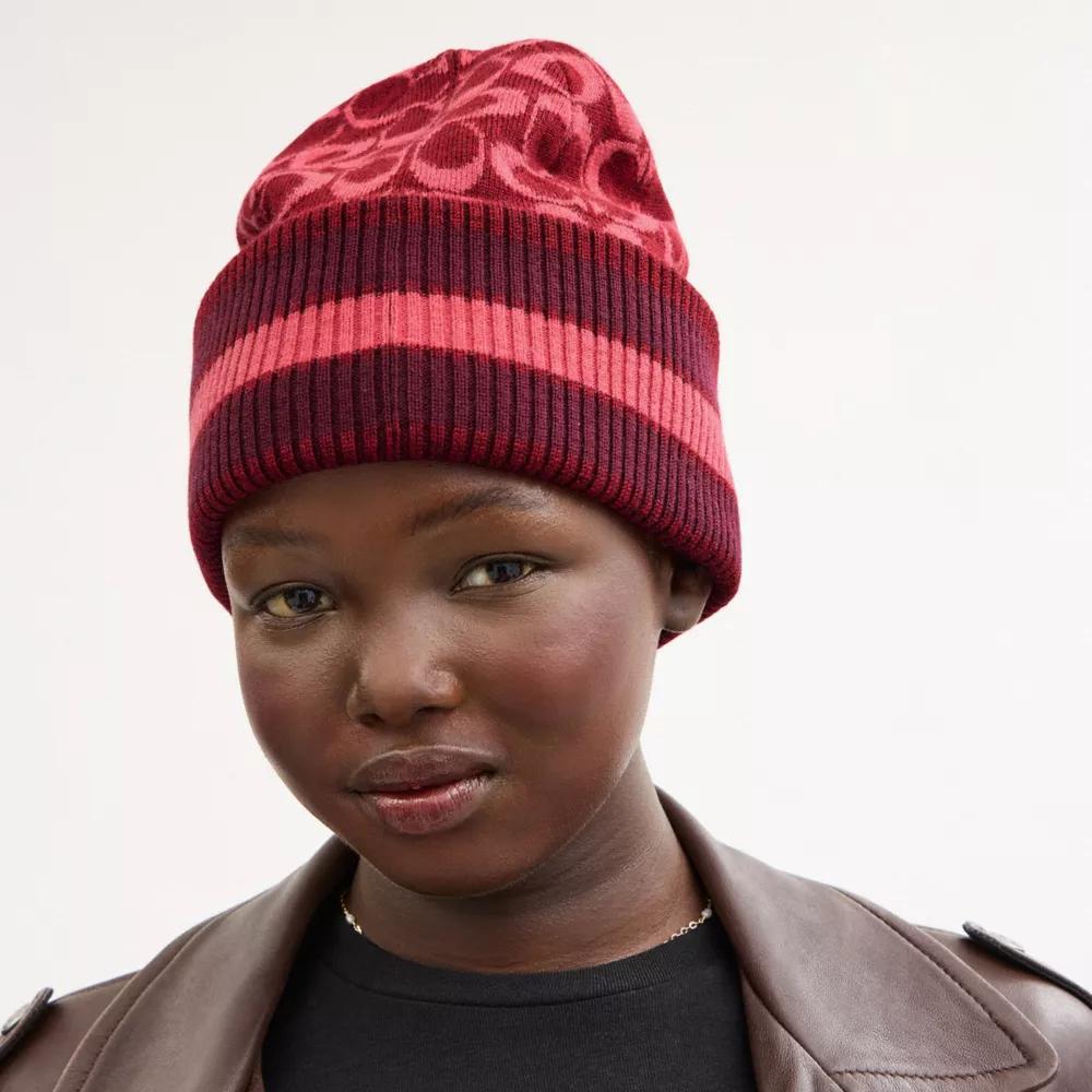 Signature Varsity Stripe Cuff Beanie Product Image